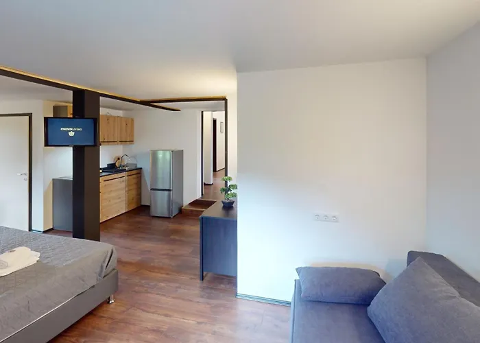 Crown Living Design Loft - Loft Mit Kueche, Bibliothek Und Gartensitzplatz, Grenznah Gelegen Lustenau