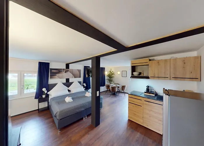 Crown Living Design Loft - Loft Mit Kueche, Bibliothek Und Gartensitzplatz, Grenznah Gelegen * Lustenau